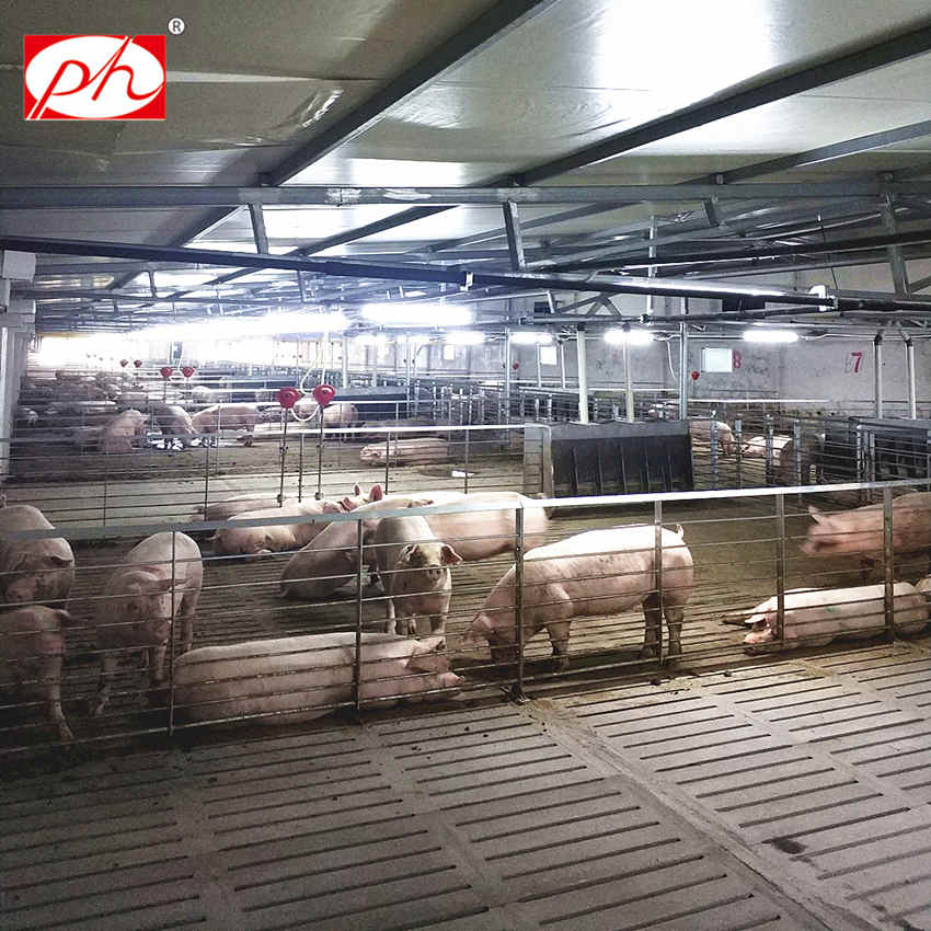 Fatten pig crates Fatten pig crates