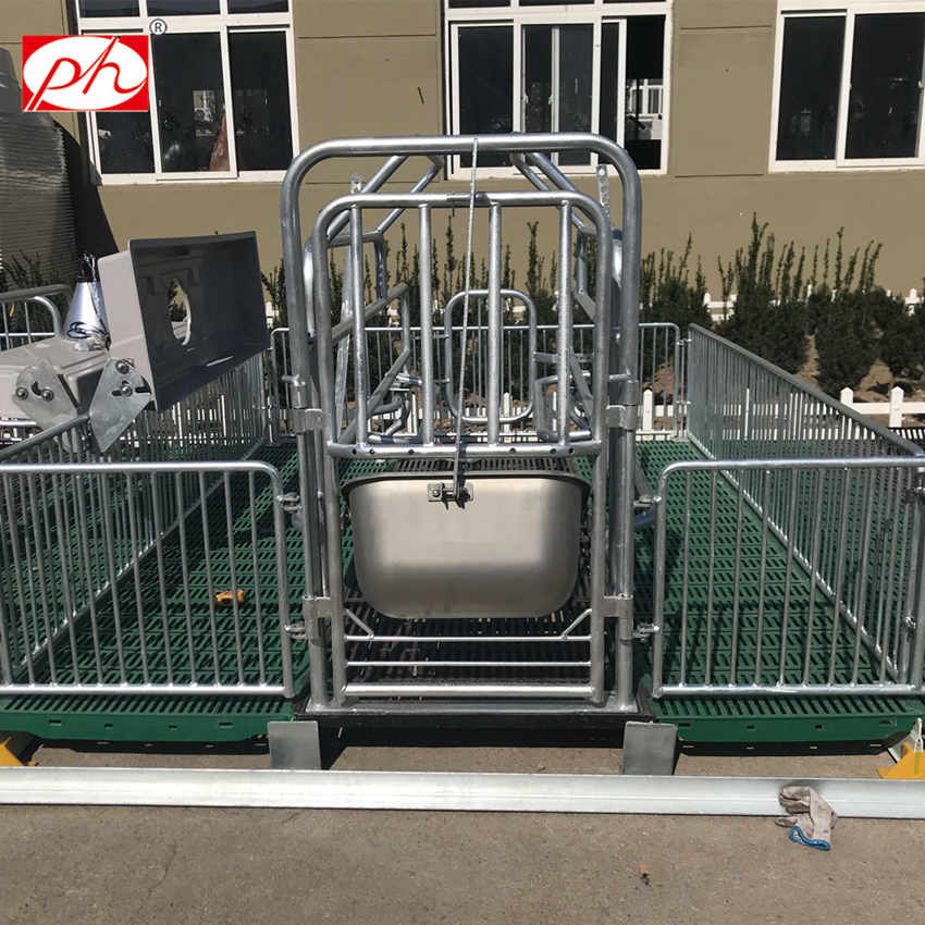 Pig Farming Equipment With Farrowing Crates For Sale Pig Farming Equipment With Farrowing Crates For Sale