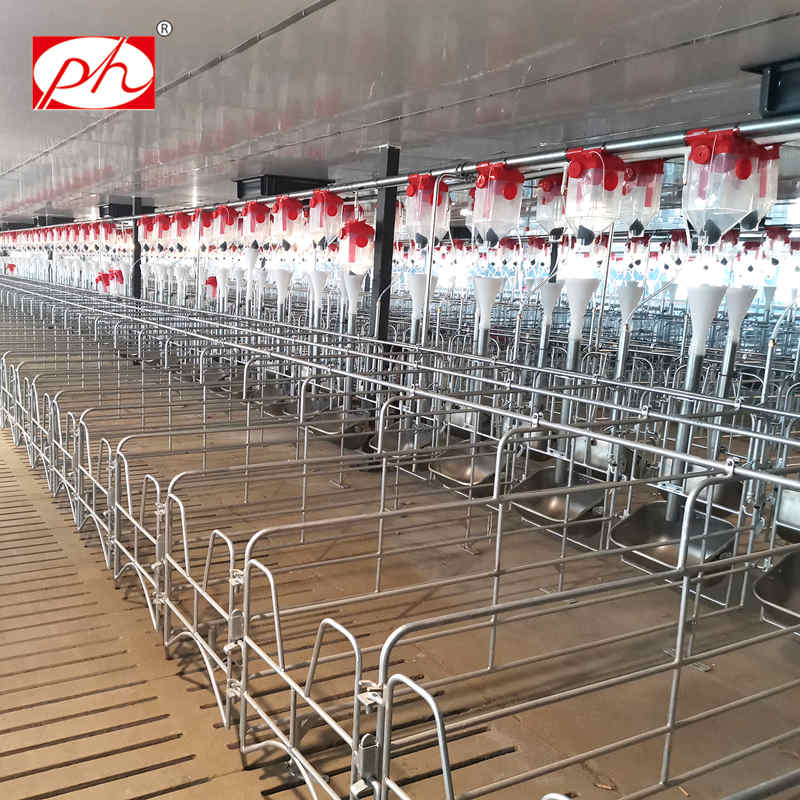 Hot dip galvanized round steel gestation stall with stainless steel 304 sow feeder Hot dip galvanized round steel gestation stall with stainless steel 304 sow feeder