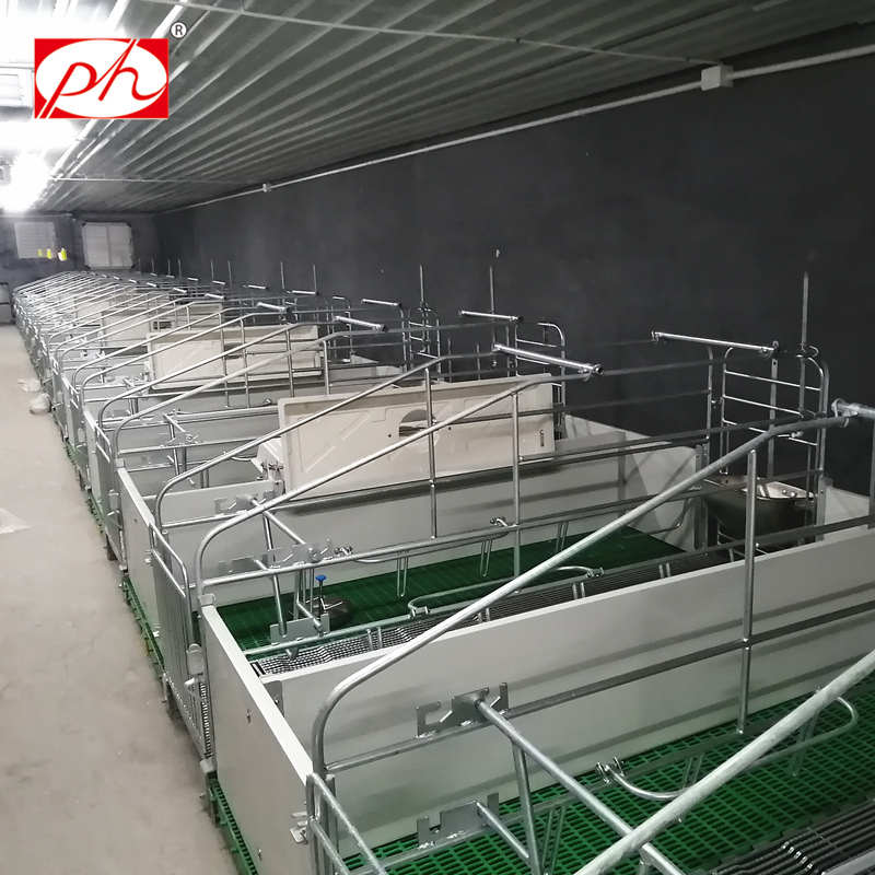 Hot dip galvanized round steel farrowing crates Hot dip galvanized round steel farrowing crates