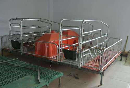 在養(yǎng)豬的時候很容易進(jìn)入的誤區(qū) 在養(yǎng)豬的時候很容易進(jìn)入的誤區(qū)