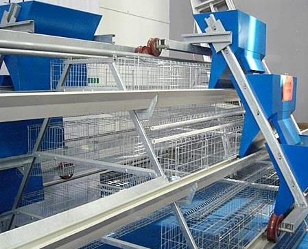 減少飼料的浪費(fèi)能夠降低養(yǎng)雞的成本 減少飼料的浪費(fèi)能夠降低養(yǎng)雞的成本