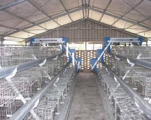 Sǂ(g)ǧf(wn)SM(fi)