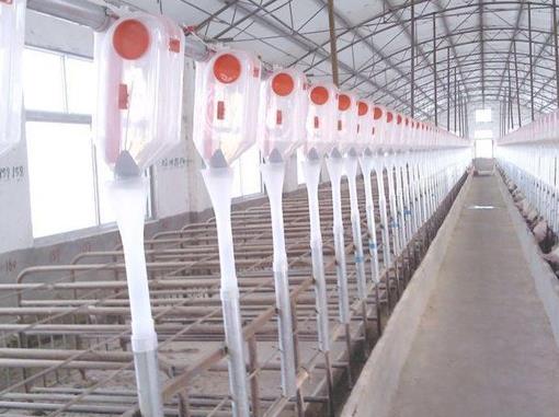 保證豬設(shè)備的環(huán)境干燥是非常重要的 保證豬設(shè)備的環(huán)境干燥是非常重要的